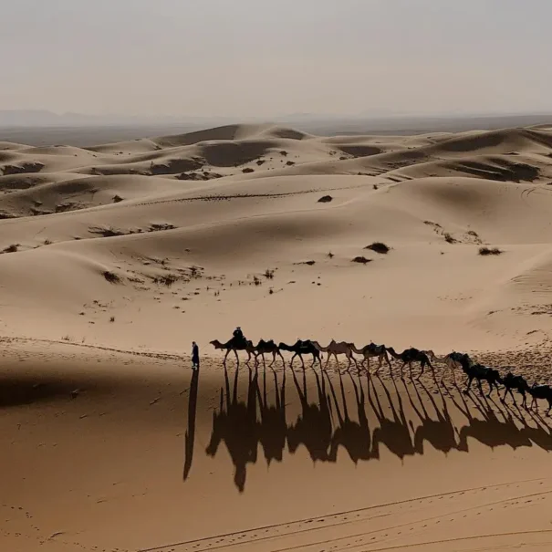 Tour 7 días al Desierto desde Marrakech