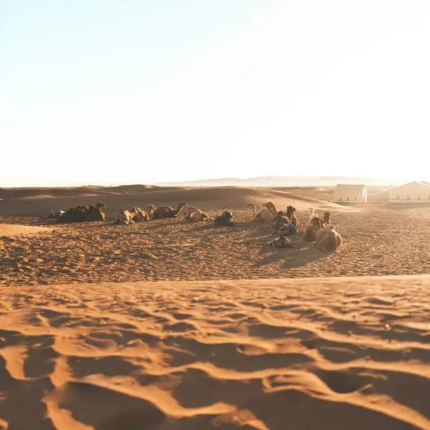 Tour 2 días desde Marrakech al desierto Zagora