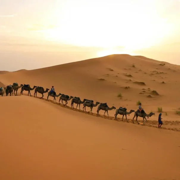 3 Days desert tour from Marrakech